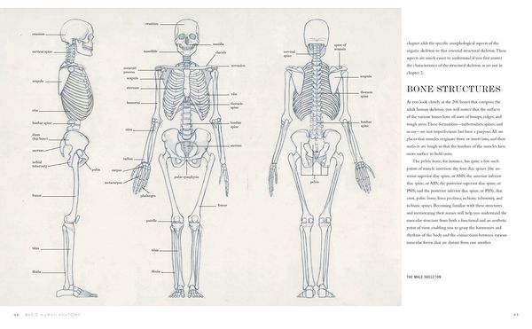 Produktbild: Basic Human Anatomy