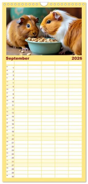 Produktbild: Familienplaner 2026 - S&uuml;&szlig;e Meerschweinchen mit 5 Spalten (Wandkalender, 21 x 45 cm) CALVENDO