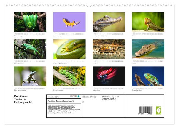 Produktbild: Reptilien - Tierische Farbenpracht (hochwertiger Premium Wandkalender 2026 DIN A2 quer), Kunstdruck in Hochglanz
