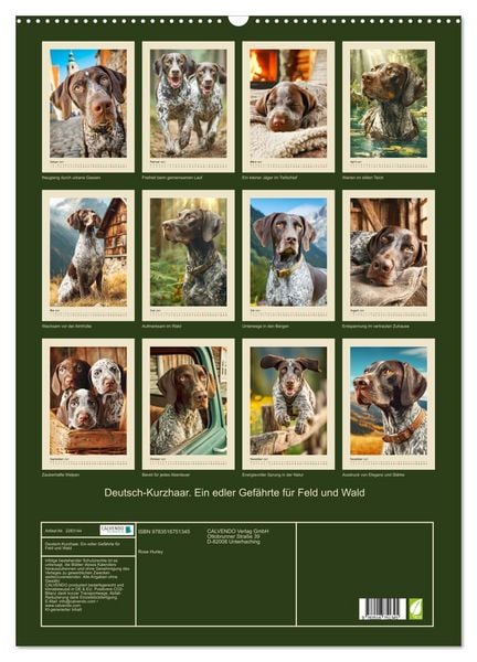 Produktbild: Deutsch-Kurzhaar. Ein edler Gef&auml;hrte f&uuml;r Feld und Wald (Wandkalender 2027 DIN A2 hoch), CALVENDO Monatskalender