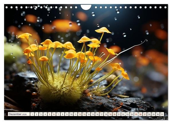 Produktbild: Wunderwelt Mikrokosmos (Wandkalender 2026 DIN A4 quer), CALVENDO Monatskalender