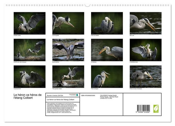Produktbild: Le h&eacute;ron ce h&eacute;ros de l'&eacute;tang Colbert (Calendrier mural haut de gamme 2027 DIN A2 vertical), CALVENDO calendrier mensuel