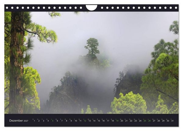 Produktbild: wildes La Palma (Wandkalender 2027 DIN A4 quer), CALVENDO Monatskalender