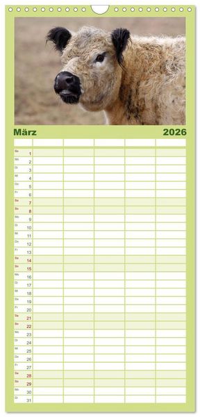 Produktbild: Familienplaner 2026 - Muuuhhh! mit 5 Spalten (Wandkalender, 21 x 45 cm) CALVENDO