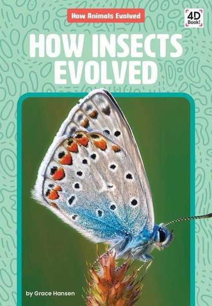 Produktbild: How Insects Evolved