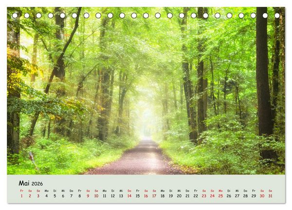 Produktbild: Waldbaden - Durch Achtsamkeit zu einer besseren Gesundheit (Tischkalender 2026 DIN A5 quer), CALVENDO Monatskalender