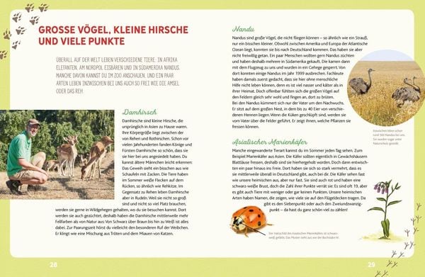 Produktbild: Weißt du, wo die Tiere wohnen?