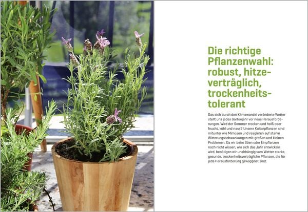 Produktbild: Balkong&auml;rtnern im Klimawandel