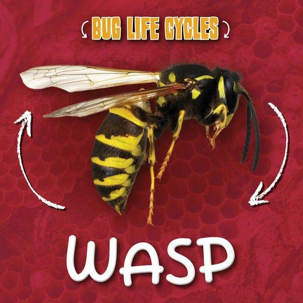Produktbild: Wasp