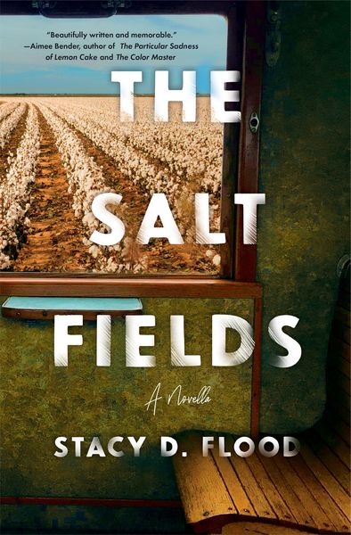 Produktbild: The Salt Fields