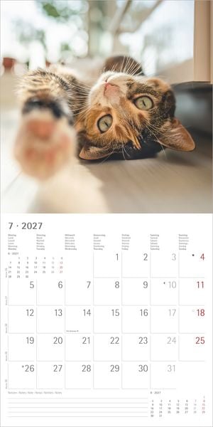 Produktbild: Funny Cats 2027