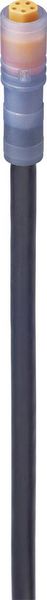 Produktbild: Lumberg Automation 934871014-1 Sensor-/Aktor-Anschlussleitung M8 Kupplung, gerade 5.00 m Polzahl Sensoren: 5 1 St.