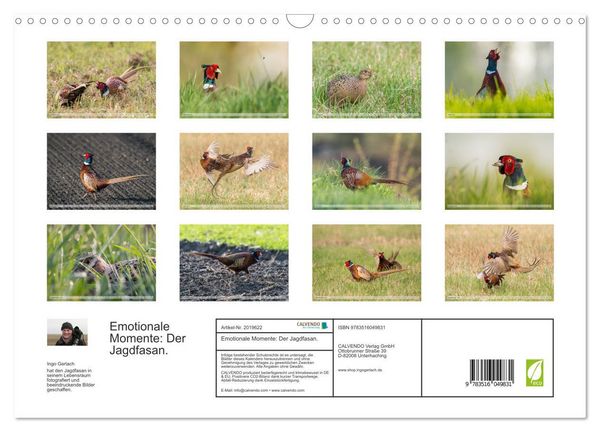 Produktbild: Emotionale Momente: Der Jagdfasan. (Wandkalender 2026 DIN A3 quer), CALVENDO Monatskalender