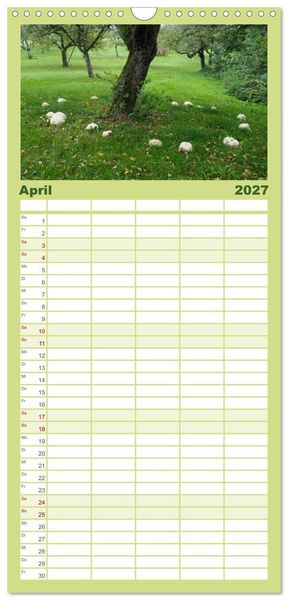 Produktbild: Familienplaner 2027 - Pilze - tolle Funde mit 5 Spalten (Wandkalender, 21 x 45 cm) CALVENDO