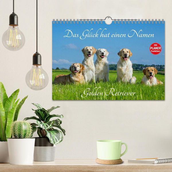 Produktbild: Das Gl&uuml;ck hat einen Namen - Golden Retriever (Wandkalender 2026 DIN A4 quer), CALVENDO Monatskalender