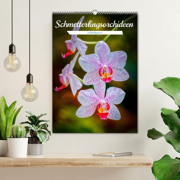 Produktbild: Schmetterlingsorchideen in High Dynamic (Wandkalender 2026 DIN A2 hoch), CALVENDO Monatskalender