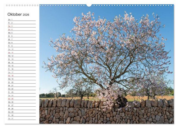 Produktbild: Emotionale Momente: Mandeln (Wandkalender 2026 DIN A2 quer), CALVENDO Monatskalender