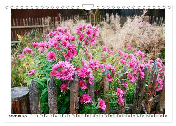 Produktbild: &Agrave; la cl&ocirc;ture du jardin (Calendrier mural 2026 DIN A4 vertical), CALVENDO calendrier mensuel