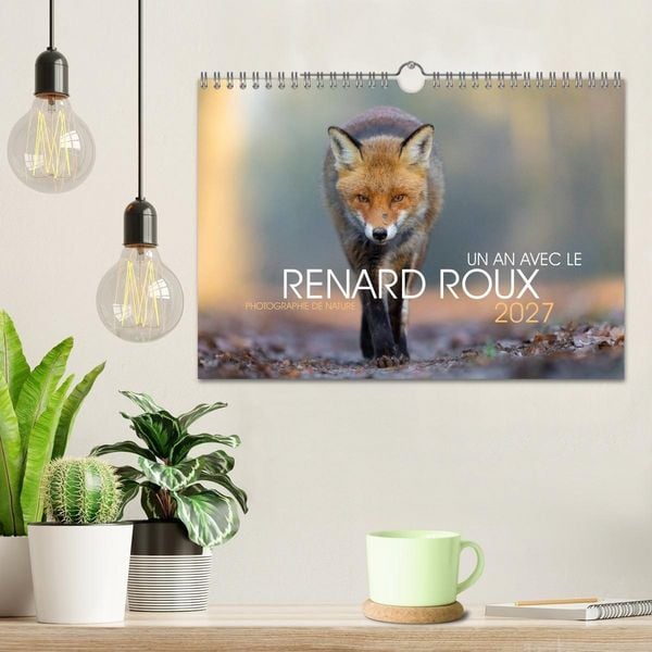 Produktbild: Un an avec le renard roux (Calendrier mural 2027 DIN A4 vertical), CALVENDO calendrier mensuel