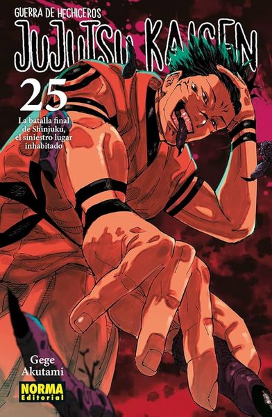 Produktbild: Jujutsu Kaisen 25