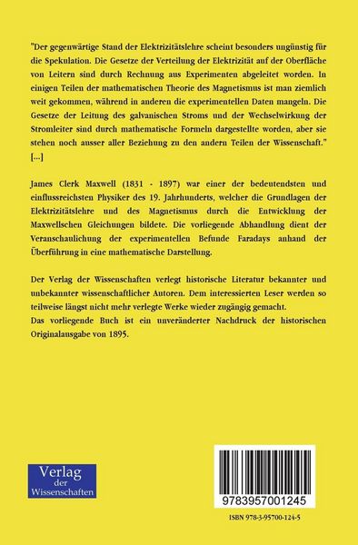 Produktbild: &Uuml;ber Faradays Kraftlinien
