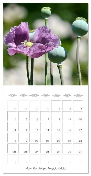 Produktbild: ENCHANTING FLOWERS (Wall Calendar 2026 12 &times; 12 Inch) CALVENDO 12 Month Wall Calendar