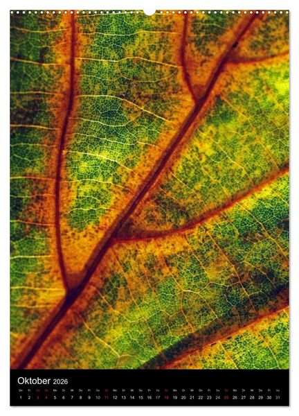 Produktbild: Kunst in der Natur (Wandkalender 2026 DIN A2 hoch), CALVENDO Monatskalender