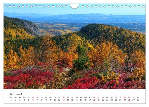 Produktbild: Automne haut en couleurs (Calendrier mural 2026 DIN A4 vertical), CALVENDO calendrier mensuel