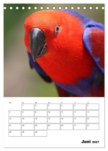 Produktbild: Papageien - Graupapagei, Rosella und Co. (Tischkalender 2027 DIN A5 hoch), CALVENDO Monatskalender