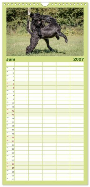 Produktbild: Familienplaner 2027 - Schnauzer... von Zwergen und Riesen 2027 mit 5 Spalten (Wandkalender, 21 x 45 cm) CALVENDO