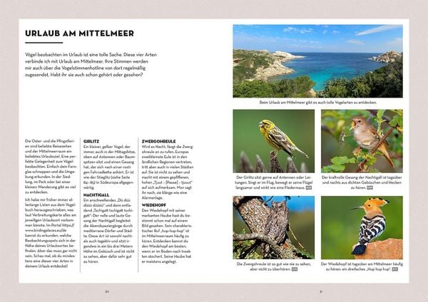 Produktbild: V&ouml;gel bestimmen mit den Ohren