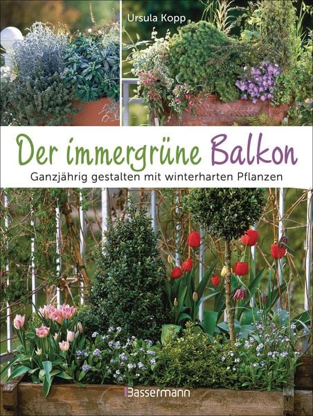 Produktbild: Der immergr&uuml;ne Balkon. Ganzj&auml;hrig gestalten mit winterharten Pflanzen