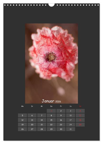 Produktbild: Mohn (Wandkalender 2026 DIN A3 hoch), CALVENDO Monatskalender