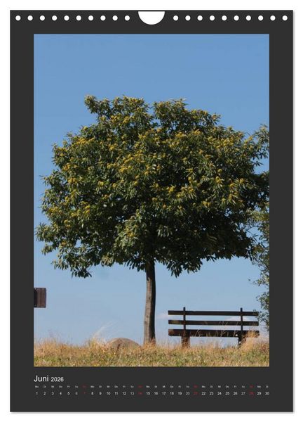 Produktbild: Odenwald - Impressionen einer Landschaft (Wandkalender 2026 DIN A4 hoch), CALVENDO Monatskalender