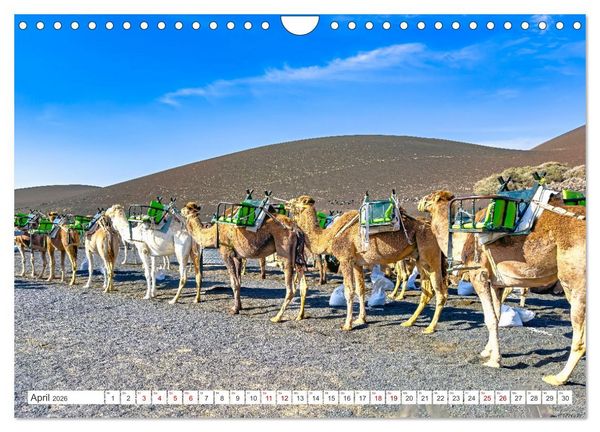 Produktbild: Lanzarote - Wo die Vulkane die Landschaft formten (Wandkalender 2026 DIN A4 quer), CALVENDO Monatskalender
