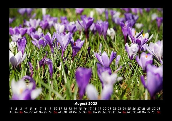 Produktbild: Pflanzen und Bl&uuml;ten 2025 Fotokalender DIN A3