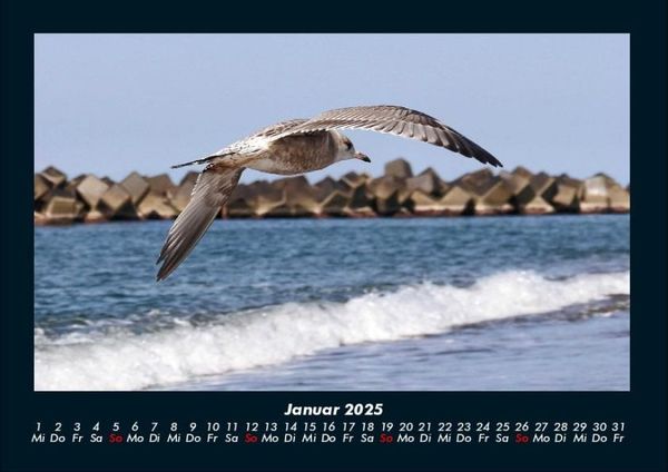 Produktbild: Meereslandschaft 2025 Fotokalender DIN A4