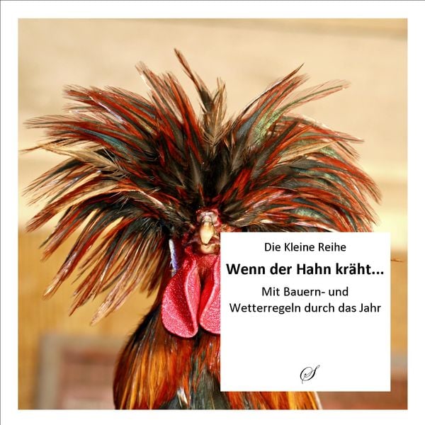 Produktbild: KLR Bd. 59: Wenn der Hahn kr&auml;ht...