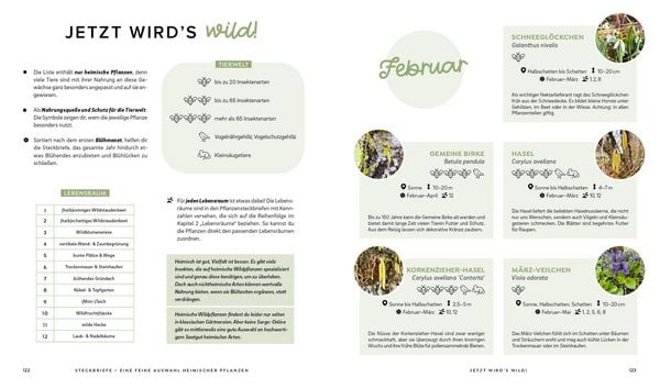 Produktbild: Mein wilder, bunter Garten &ndash;&nbsp;Einfach naturnah g&auml;rtnern