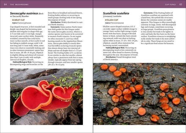 Produktbild: Mushrooms of the Southeast
