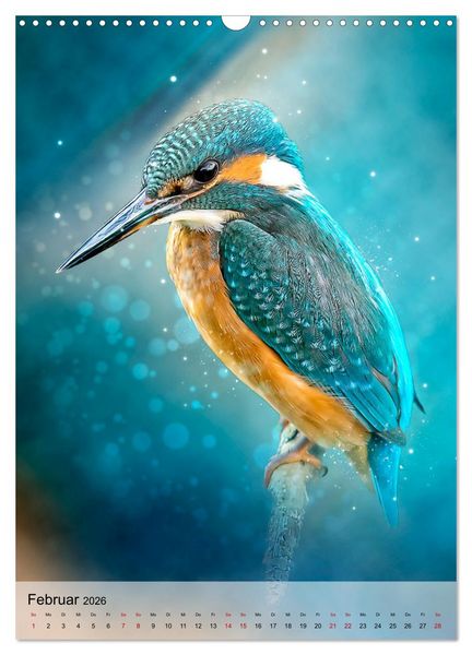 Produktbild: Schillernder Eisvogel (Wandkalender 2026 DIN A3 hoch), CALVENDO Monatskalender
