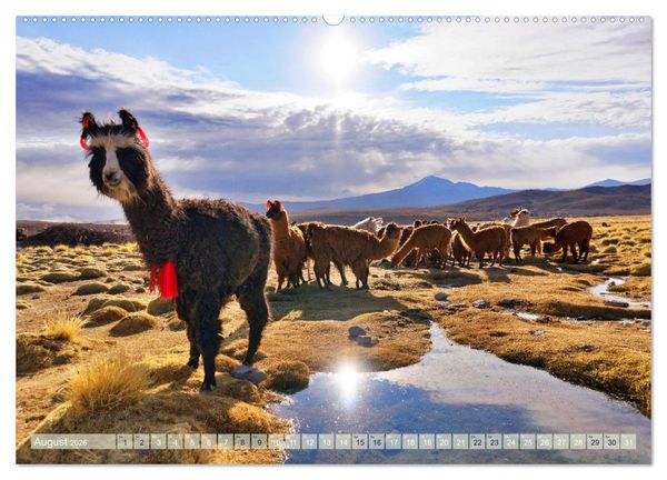 Produktbild: Entdecke Bolivien (hochwertiger Premium Wandkalender 2026 DIN A2 quer), Kunstdruck in Hochglanz