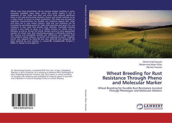 Produktbild: Wheat Breeding for Rust Resistance Through Pheno and Molecular Marker