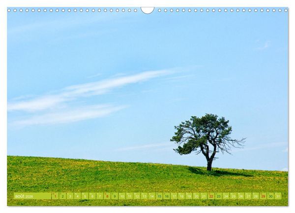 Produktbild: Solitude verdoyante (Calendrier mural 2026 DIN A3 vertical), CALVENDO calendrier mensuel