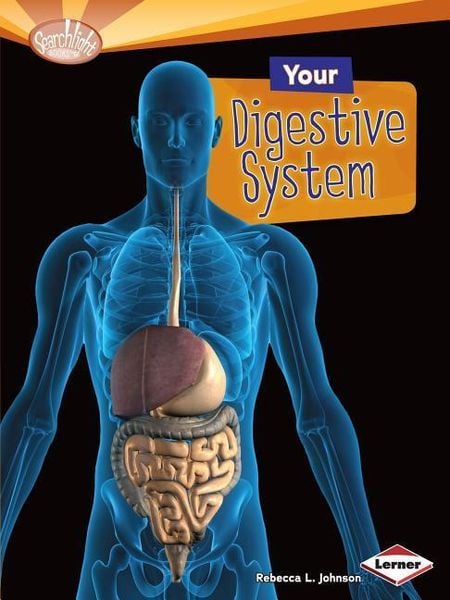 Produktbild: Your Digestive System