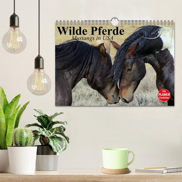 Produktbild: Wilde Pferde. Mustangs in USA (Wandkalender 2026 DIN A4 quer), CALVENDO Monatskalender