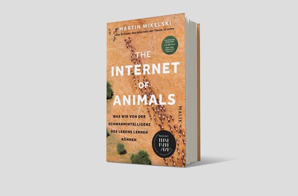Produktbild: The Internet of Animals: Was wir von der Schwarmintelligenz des Lebens lernen k&ouml;nnen