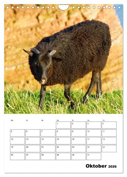 Produktbild: Einzigartige Insel Helgoland (Wandkalender 2026 DIN A4 hoch), CALVENDO Monatskalender