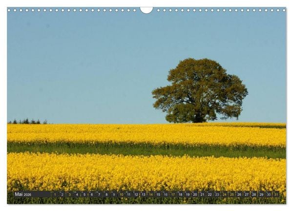 Produktbild: Unterwegs im Hunsr&uuml;ck (Wandkalender 2026 DIN A3 quer), CALVENDO Monatskalender