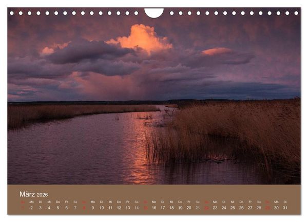 Produktbild: Der Federsee - Vogelparadies in Oberschwaben (Wandkalender 2026 DIN A4 quer), CALVENDO Monatskalender